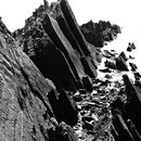 תמונת טפט סנפלינג בשחור לבן