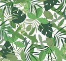 תמונת טפט עלים בג'ונגל ירוק