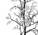 תמונת טפט ענפי עץ אפור