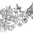 תמונת טפט ורדים מאויירים לבן